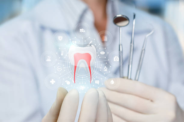 Professional Holistic Dental Care Services in West Linn, OR